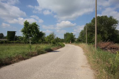 İtalya 'nın kırsal kesimlerinde güneşli bir günde bir bar tarafından engellenmiş, üzerinde elektrik hattı olan tarlalar arasındaki kirli yol.