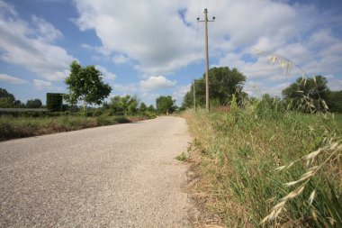 İtalya 'nın kırsal kesimlerinde güneşli bir günde bir bar tarafından engellenmiş, üzerinde elektrik hattı olan tarlalar arasındaki kirli yol.