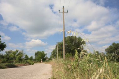 İtalya 'nın kırsal kesimlerinde güneşli bir günde bir bar tarafından engellenmiş, üzerinde elektrik hattı olan tarlalar arasındaki kirli yol.