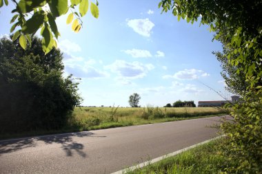 Güneşli bir gün batımında, bir tarlanın ortasında kavak ağacı İtalya 'nın kırsal kesiminde yol kenarından görülüyor.