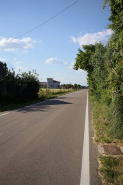 Gün batımında İtalya kırsalında tarlalar ve bitkilerle çevrili bir yol.