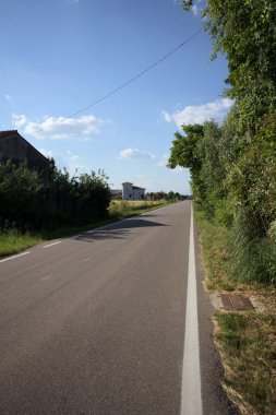 Gün batımında İtalya kırsalında tarlalar ve bitkilerle çevrili bir yol.