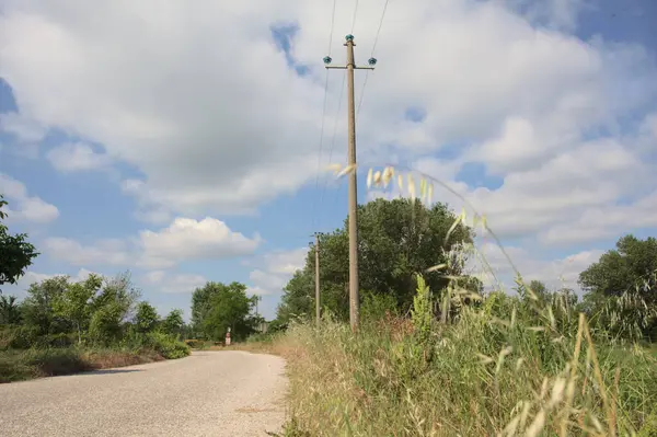 İtalya 'nın kırsal kesimlerinde güneşli bir günde bir bar tarafından engellenmiş, üzerinde elektrik hattı olan tarlalar arasındaki kirli yol.