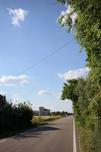 Gün batımında İtalya kırsalında tarlalar ve bitkilerle çevrili bir yol.