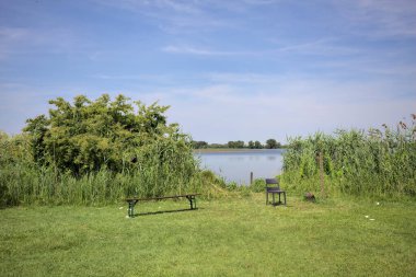 Güneşli bir günde göl kenarındaki bankta ve sandalyede sazlıkların çerçevelediği karşı kıyıda.