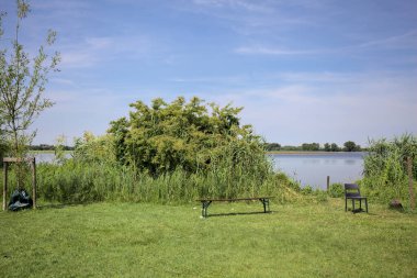 Güneşli bir günde göl kenarındaki bankta ve sandalyede sazlıkların çerçevelediği karşı kıyıda.