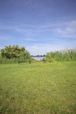 Güneşli bir günde göl kenarındaki bankta ve sandalyede sazlıkların çerçevelediği karşı kıyıda.