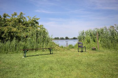 Güneşli bir günde göl kenarındaki bankta ve sandalyede sazlıkların çerçevelediği karşı kıyıda.