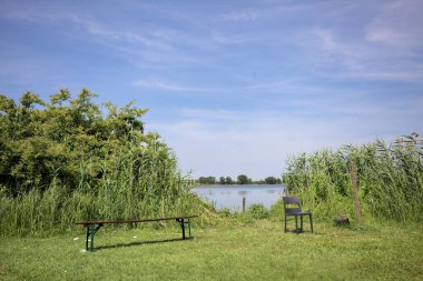 Güneşli bir günde göl kenarındaki bankta ve sandalyede sazlıkların çerçevelediği karşı kıyıda.