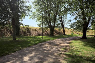 Ağaçların yanından geçen çakıl yolu güneşli bir günde parkta gölgeler bırakıyor.