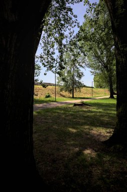Güneşli bir günde, iki ağaç gövdesi tarafından çerçevelenmiş bir parkta, gölgede bir toprak toprak parçasının yanındaki patika.