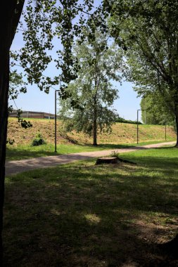 Güneşli bir günde, iki ağaç gövdesi tarafından çerçevelenmiş bir parkta, gölgede bir toprak toprak parçasının yanındaki patika.