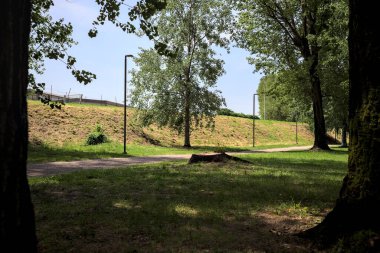 Güneşli bir günde, iki ağaç gövdesi tarafından çerçevelenmiş bir parkta, gölgede bir toprak toprak parçasının yanındaki patika.