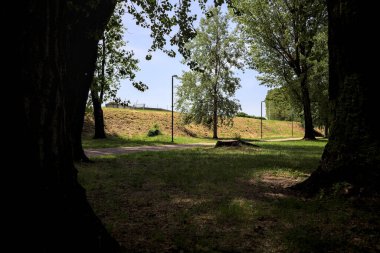 Güneşli bir günde, iki ağaç gövdesi tarafından çerçevelenmiş bir parkta, gölgede bir toprak toprak parçasının yanındaki patika.