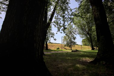 Güneşli bir günde, iki ağaç gövdesi tarafından çerçevelenmiş bir parkta, gölgede bir toprak toprak parçasının yanındaki patika.