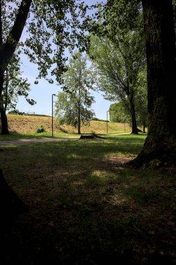 Güneşli bir günde, iki ağaç gövdesi tarafından çerçevelenmiş bir parkta, gölgede bir toprak toprak parçasının yanındaki patika.