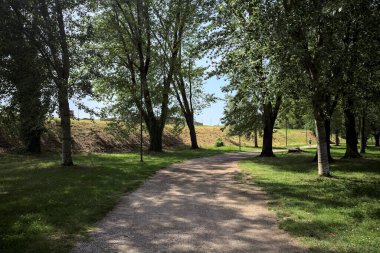 Ağaçların yanından geçen çakıl yolu güneşli bir günde parkta gölgeler bırakıyor.