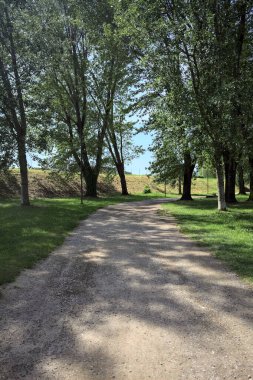 Ağaçların yanından geçen çakıl yolu güneşli bir günde parkta gölgeler bırakıyor.