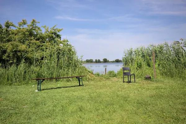 Güneşli bir günde göl kenarındaki bankta ve sandalyede sazlıkların çerçevelediği karşı kıyıda.