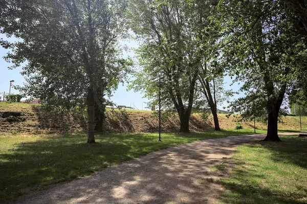 Ağaçların yanından geçen çakıl yolu güneşli bir günde parkta gölgeler bırakıyor.