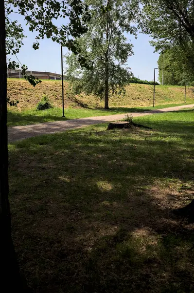 Güneşli bir günde, iki ağaç gövdesi tarafından çerçevelenmiş bir parkta, gölgede bir toprak toprak parçasının yanındaki patika.