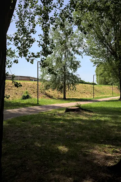 Güneşli bir günde, iki ağaç gövdesi tarafından çerçevelenmiş bir parkta, gölgede bir toprak toprak parçasının yanındaki patika.