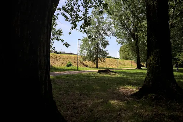 Güneşli bir günde, iki ağaç gövdesi tarafından çerçevelenmiş bir parkta, gölgede bir toprak toprak parçasının yanındaki patika.