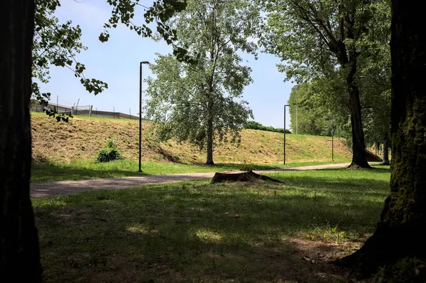 Güneşli bir günde, iki ağaç gövdesi tarafından çerçevelenmiş bir parkta, gölgede bir toprak toprak parçasının yanındaki patika.