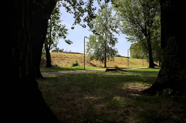 Güneşli bir günde, iki ağaç gövdesi tarafından çerçevelenmiş bir parkta, gölgede bir toprak toprak parçasının yanındaki patika.