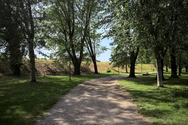 Ağaçların yanından geçen çakıl yolu güneşli bir günde parkta gölgeler bırakıyor.