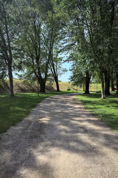 Ağaçların yanından geçen çakıl yolu güneşli bir günde parkta gölgeler bırakıyor.