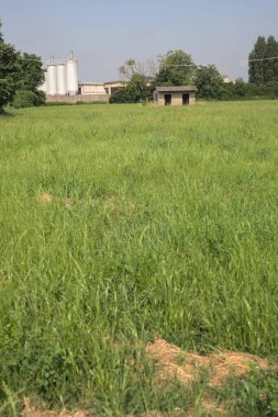 İtalya kırsalında güneşli bir günde arka planda sanayi kompleksi olan terk edilmiş beton bir kulübede terk edilmiş.