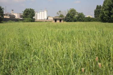 İtalya kırsalında güneşli bir günde arka planda sanayi kompleksi olan terk edilmiş beton bir kulübede terk edilmiş.