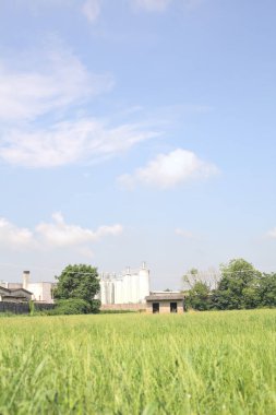 İtalya kırsalında güneşli bir günde arka planda sanayi kompleksi olan terk edilmiş beton bir kulübede terk edilmiş.