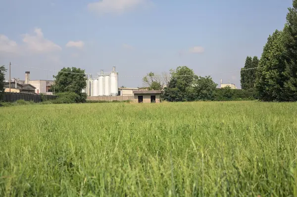 İtalya kırsalında güneşli bir günde arka planda sanayi kompleksi olan terk edilmiş beton bir kulübede terk edilmiş.