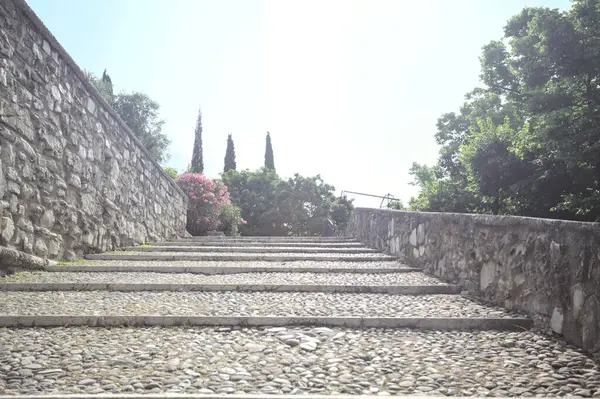 Güneşli bir günde bir kalenin iç duvarına dayanan merdiven.