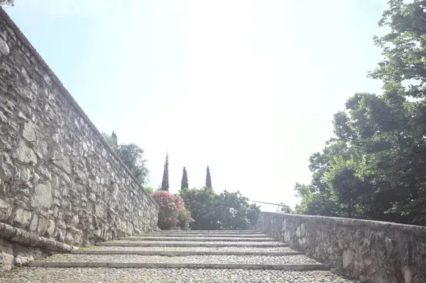 Güneşli bir günde bir kalenin iç duvarına dayanan merdiven.