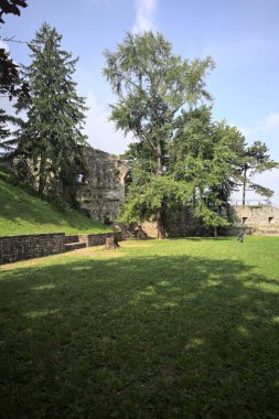 Etrafını çevreleyen ağaçlarla çevrili çimenler ve ağaçların arkasında bir şatonun kalıntıları olan gölgeler.