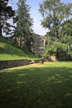 Etrafını çevreleyen ağaçlarla çevrili çimenler ve ağaçların arkasında bir şatonun kalıntıları olan gölgeler.