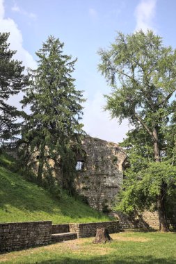 Etrafını çevreleyen ağaçlarla çevrili çimenler ve ağaçların arkasında bir şatonun kalıntıları olan gölgeler.