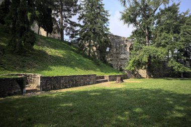 Etrafını çevreleyen ağaçlarla çevrili çimenler ve ağaçların arkasında bir şatonun kalıntıları olan gölgeler.