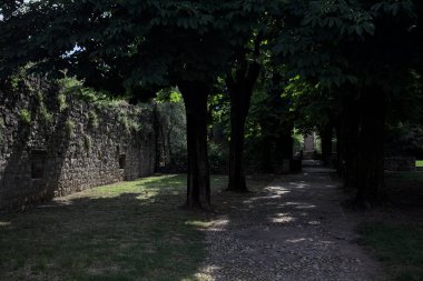 Güneşli bir günde şatonun bahçesindeki ağaçların oluşturduğu gölgede yol