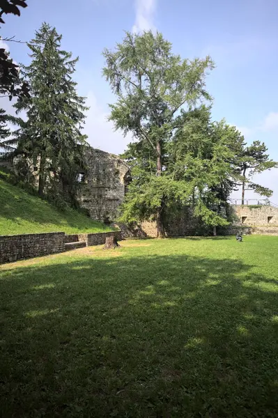 Etrafını çevreleyen ağaçlarla çevrili çimenler ve ağaçların arkasında bir şatonun kalıntıları olan gölgeler.