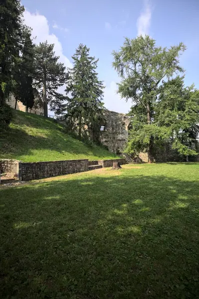 Etrafını çevreleyen ağaçlarla çevrili çimenler ve ağaçların arkasında bir şatonun kalıntıları olan gölgeler.