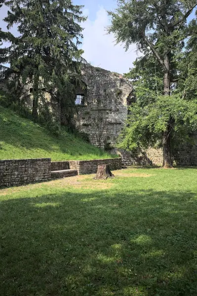 Etrafını çevreleyen ağaçlarla çevrili çimenler ve ağaçların arkasında bir şatonun kalıntıları olan gölgeler.