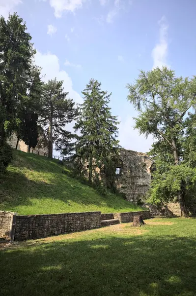 Etrafını çevreleyen ağaçlarla çevrili çimenler ve ağaçların arkasında bir şatonun kalıntıları olan gölgeler.