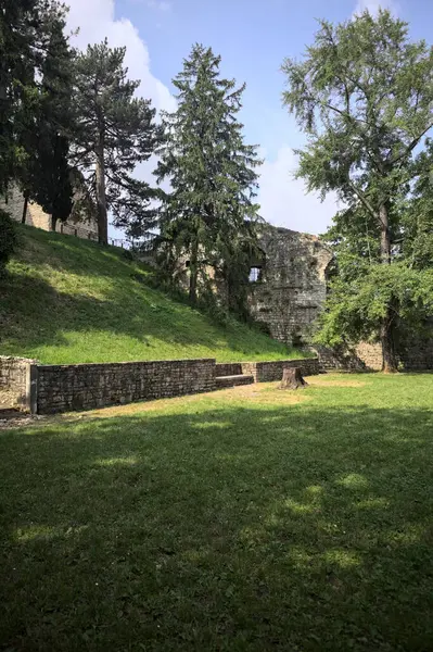 Etrafını çevreleyen ağaçlarla çevrili çimenler ve ağaçların arkasında bir şatonun kalıntıları olan gölgeler.