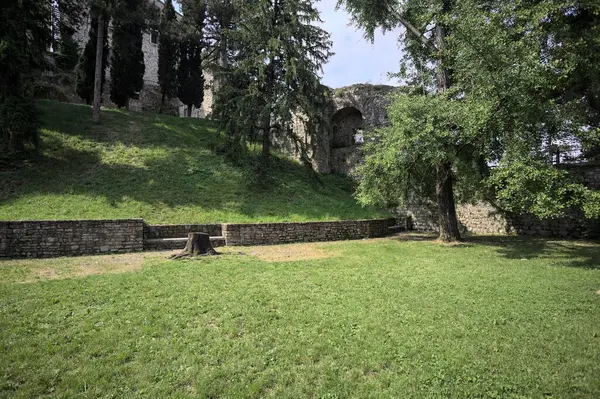 Etrafını çevreleyen ağaçlarla çevrili çimenler ve ağaçların arkasında bir şatonun kalıntıları olan gölgeler.