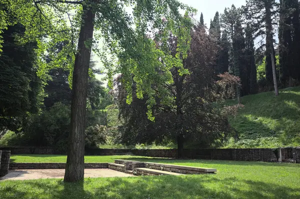 Etrafını çevreleyen ağaçlarla çevrili çimenler ve ağaçların arkasında bir şatonun kalıntıları olan gölgeler.