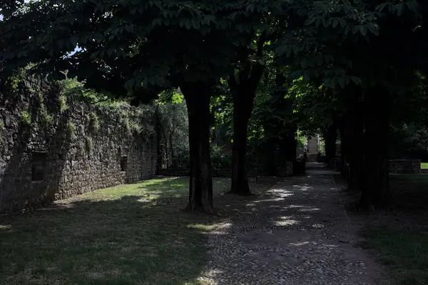 Güneşli bir günde şatonun bahçesindeki ağaçların oluşturduğu gölgede yol
